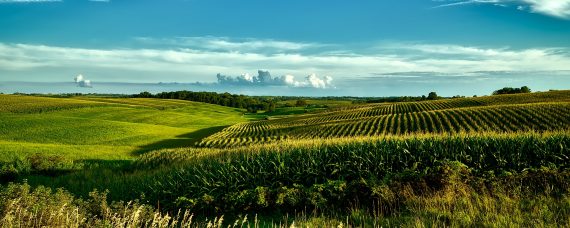 Iowa Outfitter Directory