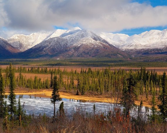 Alaska Guided Hunting and Fishing Trips