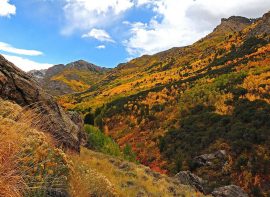 Nevada Outfitter Directory