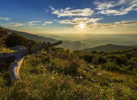 Virginia Outfitter Directory