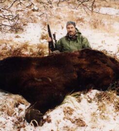 Alaska Adventures Unlimited