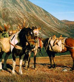 Alaska Adventures Unlimited